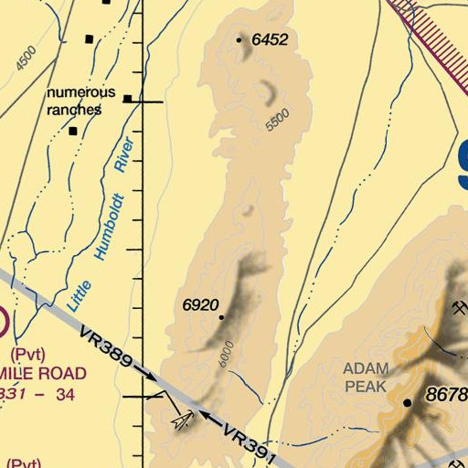 FAA VFR chart of Reed Spring, NV