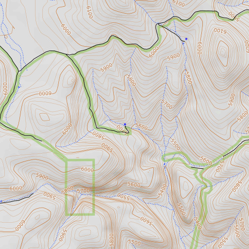 OpenTopoMap map of Trail Spring, NV