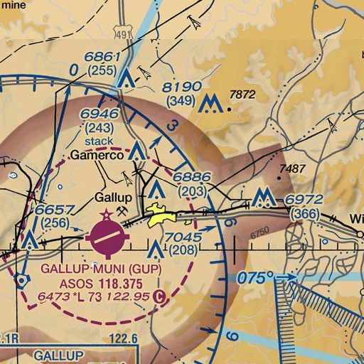 FAA VFR chart of Elkins Pit, NM