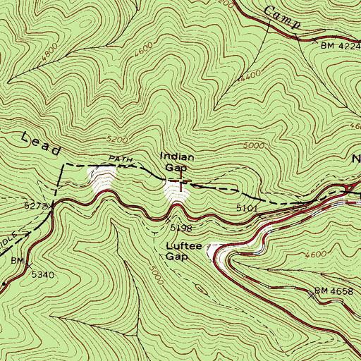 Topographic Map of Indian Gap, NC