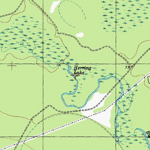 Topographic Map of Herring Lake, NC