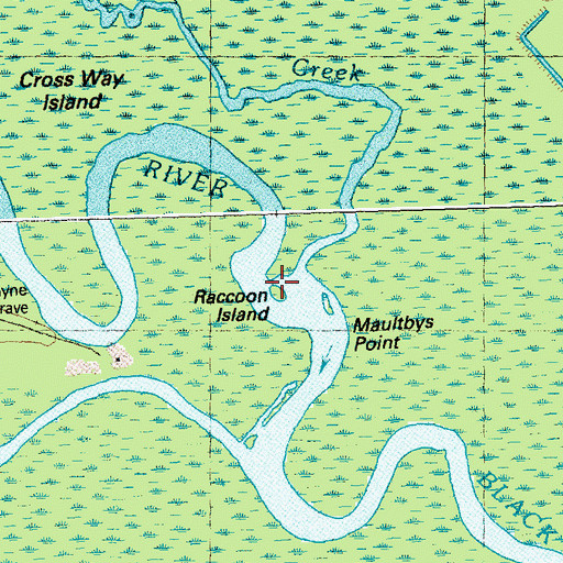 Topographic Map of Raccoon Island, NC