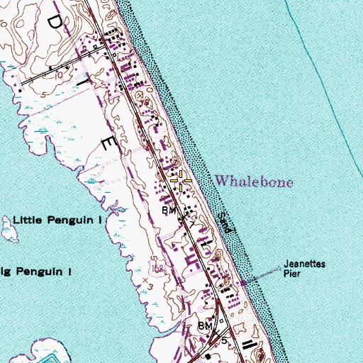 Topographic Map of Whalebone, NC