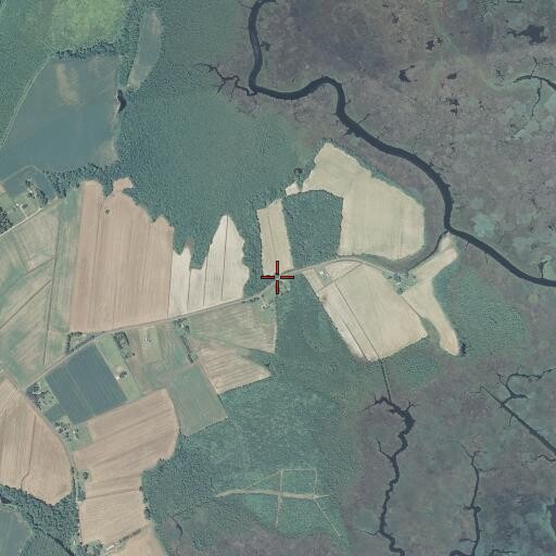 Aerial/Satellite Image of Gibbs Woods, NC