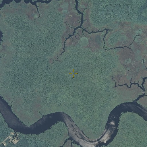 Aerial/Satellite Image of Northwest River Marsh Wildlife Area, NC