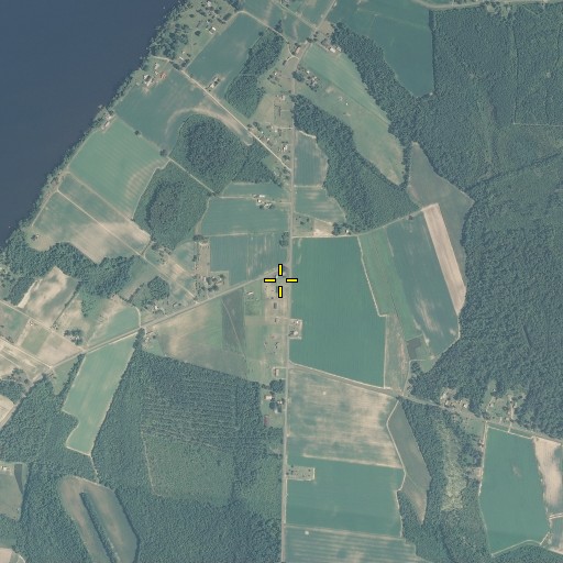 Aerial/Satellite Image of Mount Rose, NC