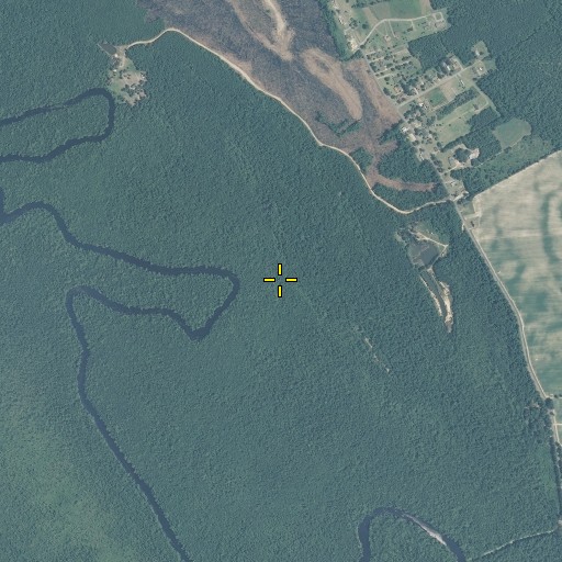 Aerial/Satellite Image of Honey Pot Swamp, NC