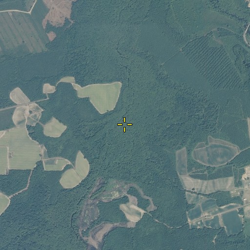 Aerial/Satellite Image of Hoggard Bridge (historical), NC