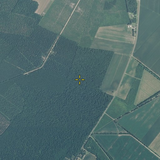 Aerial/Satellite Image of Flat Swamp, NC