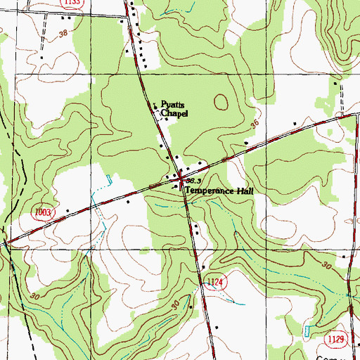 Topographic Map of Temperance Hall, NC