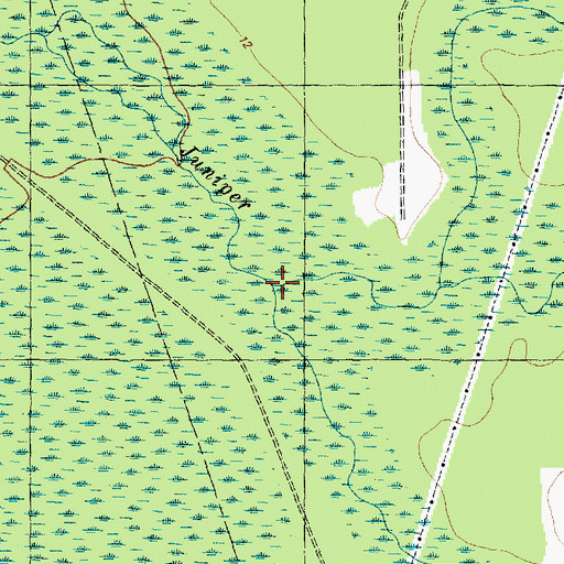 Topographic Map of Flat Swamp, NC