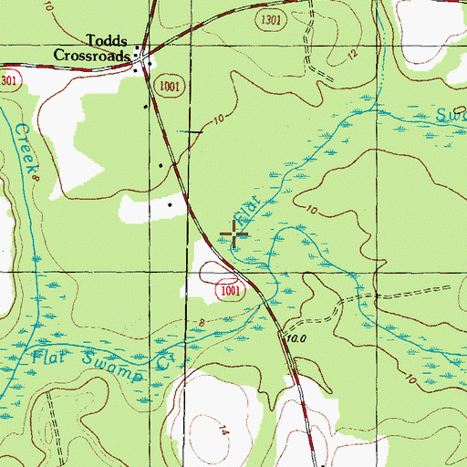 Topographic Map of Flat Swamp, NC
