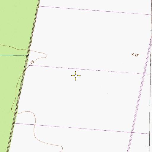 Topographic Map of Bog Scattering Pines, NC