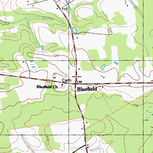 Topographic Map of Bluefield, NC