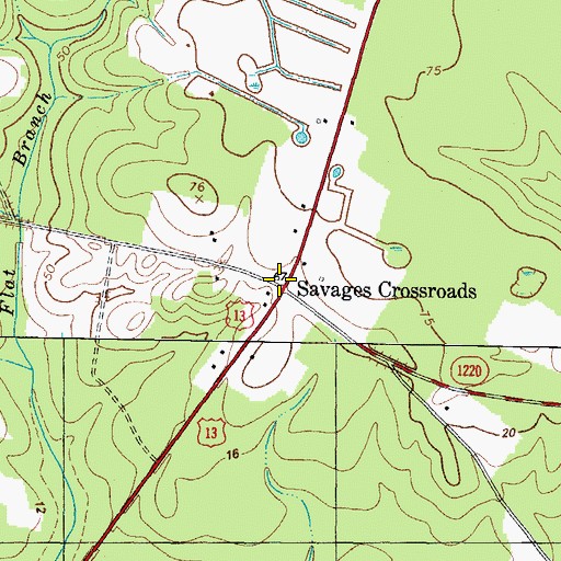 Topographic Map of Savages Crossroads, NC