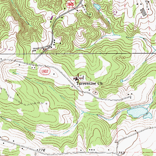 Topographic Map of Turrentine Church, NC