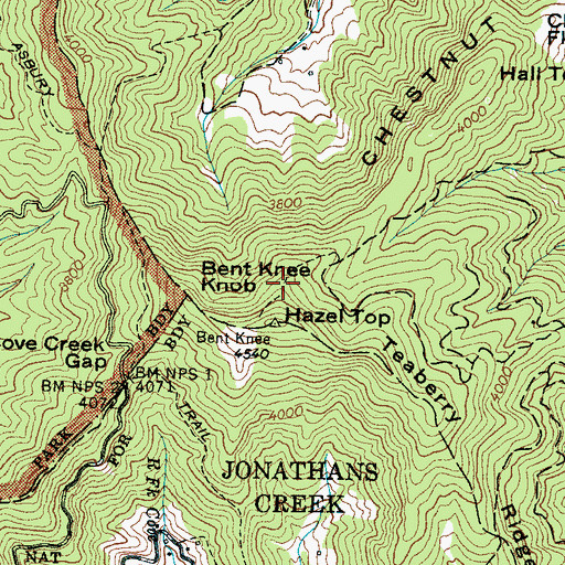 Topographic Map of Chesnut Flat Ridge, NC