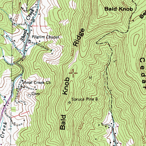 Topographic Map of Bald Knob Ridge, NC