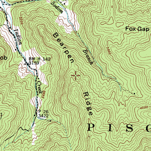 Topographic Map of Bearpen Ridge, NC