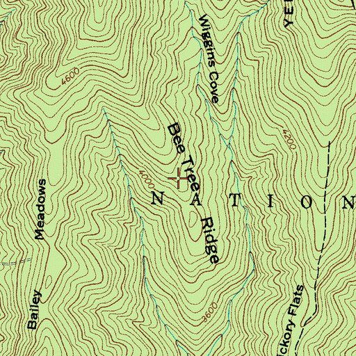 Topographic Map of Bee Tree Ridge, NC