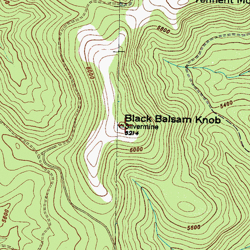 Topographic Map of Black Balsam Knob, NC