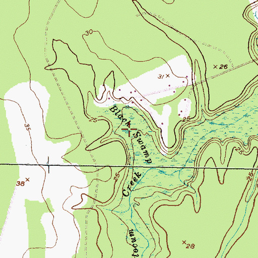 Topographic Map of Black Swamp, NC