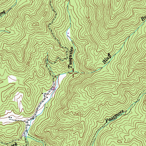 Topographic Map of Bluff Branch, NC