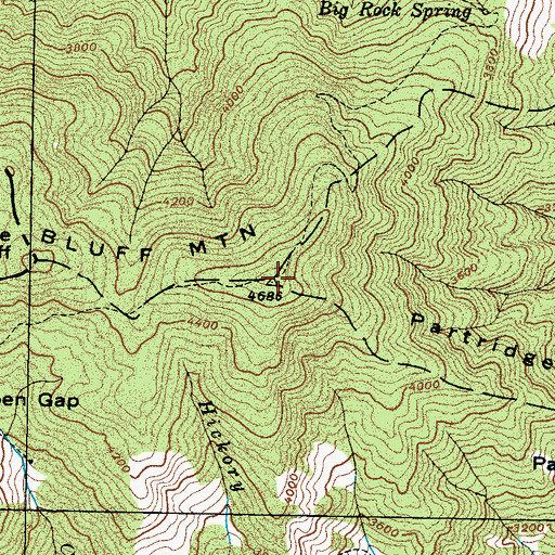 Topographic Map of Bluff Mountain, NC