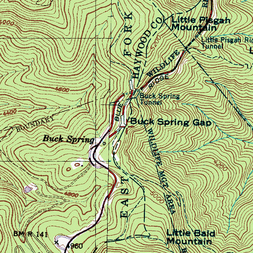 Topographic Map of Buck Spring Gap, NC