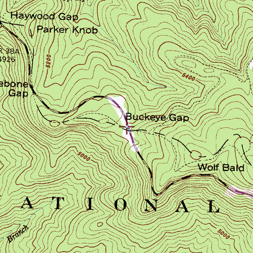 Topographic Map of Buckeye Gap, NC