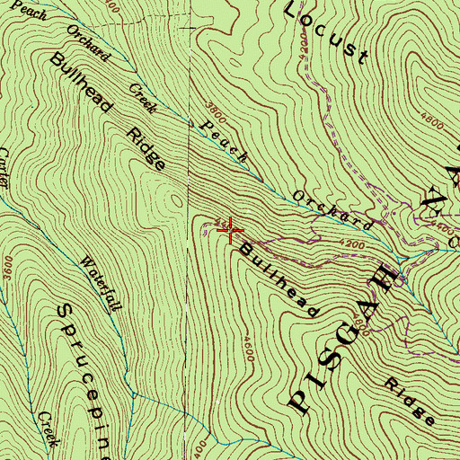 Topographic Map of Bullhead Ridge, NC