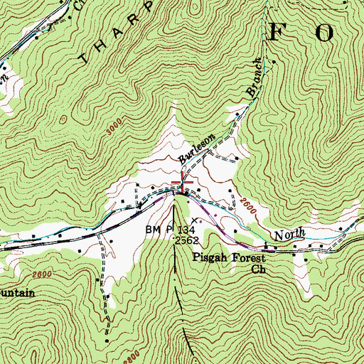 Topographic Map of Burleson Branch, NC