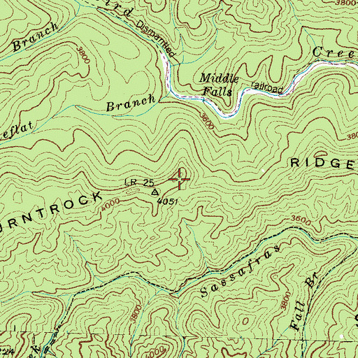 Topographic Map of Burntrock Ridge, NC