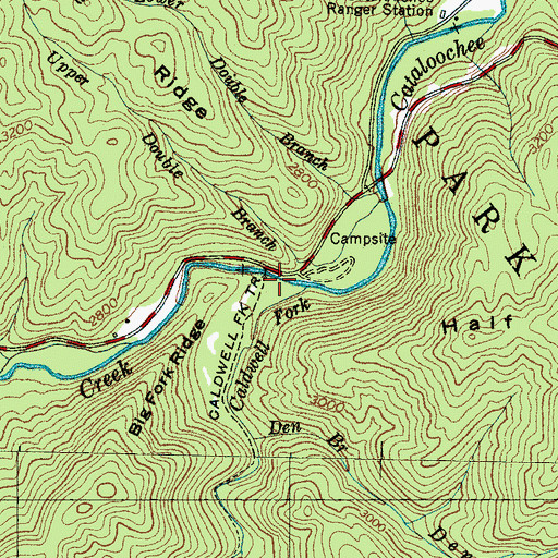 Topographic Map of Caldwell Fork, NC