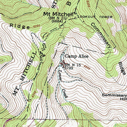 Topographic Map of Camp Alice, NC