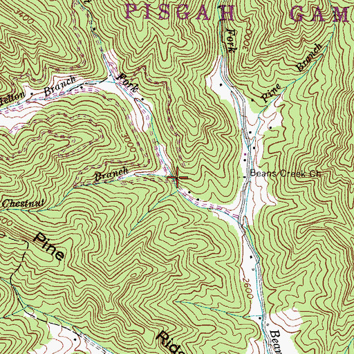Topographic Map of Chestnut Branch, NC