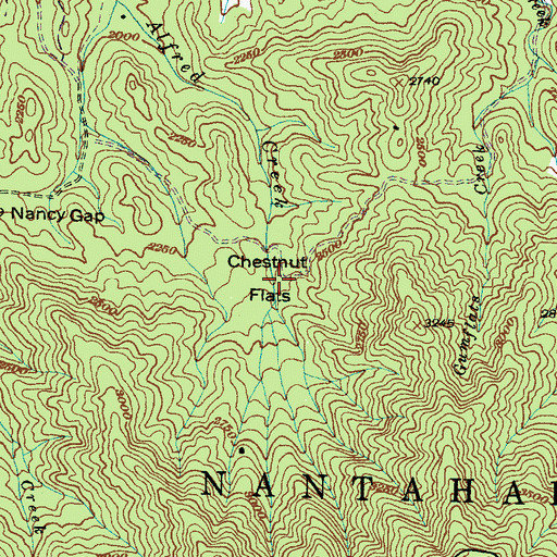 Topographic Map of Chestnut Flats, NC
