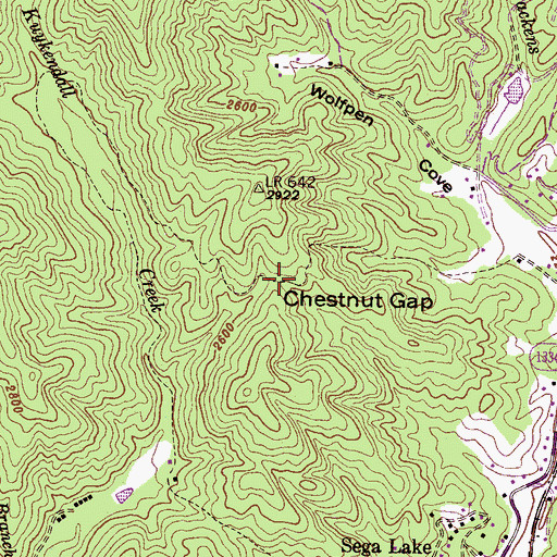 Topographic Map of Chestnut Gap, NC