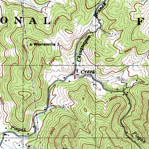Topographic Map of Chinquapin Branch, NC