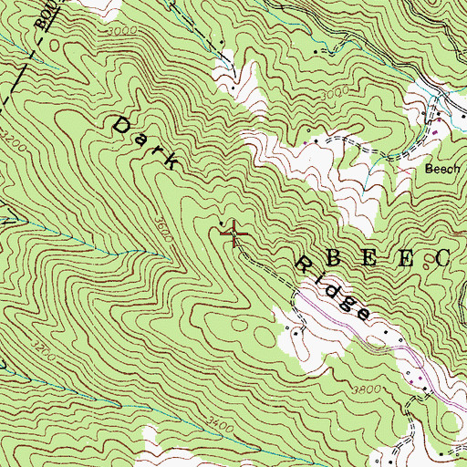 Topographic Map of Dark Ridge, NC
