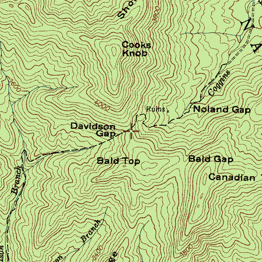 Topographic Map of Davidson Gap, NC