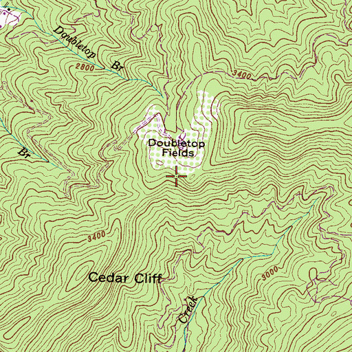 Topographic Map of Doubletop Fields, NC