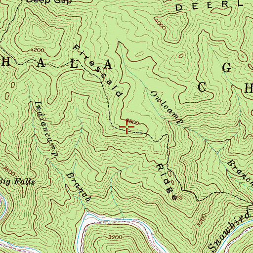 Topographic Map of Firescald Ridge, NC