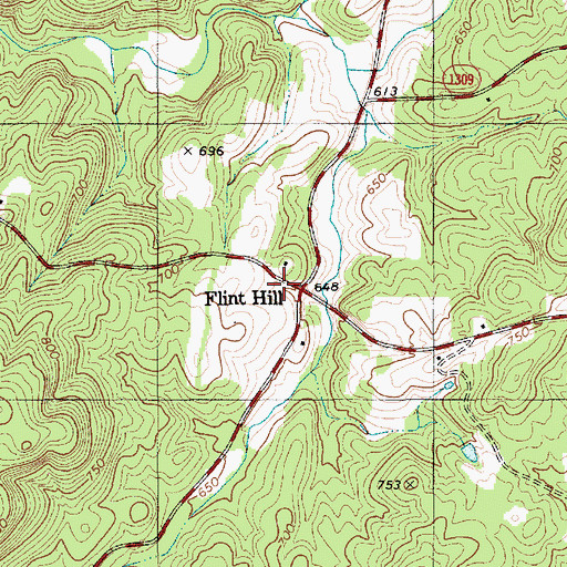 Topographic Map of Flint Hill, NC