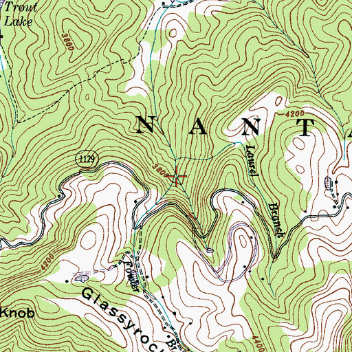 Topographic Map of Fowler Branch, NC