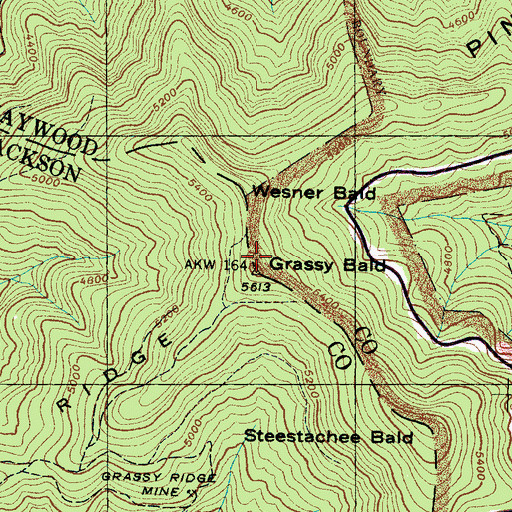 Topographic Map of Grassy Bald, NC
