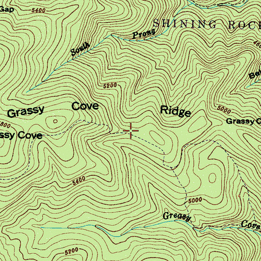 Topographic Map of Grassy Cove Ridge, NC