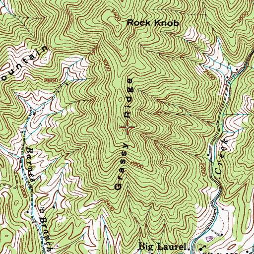 Topographic Map of Grassy Ridge, NC