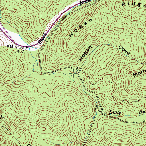 Topographic Map of Hogan Cove, NC