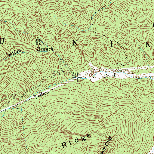 Topographic Map of Indian Branch, NC